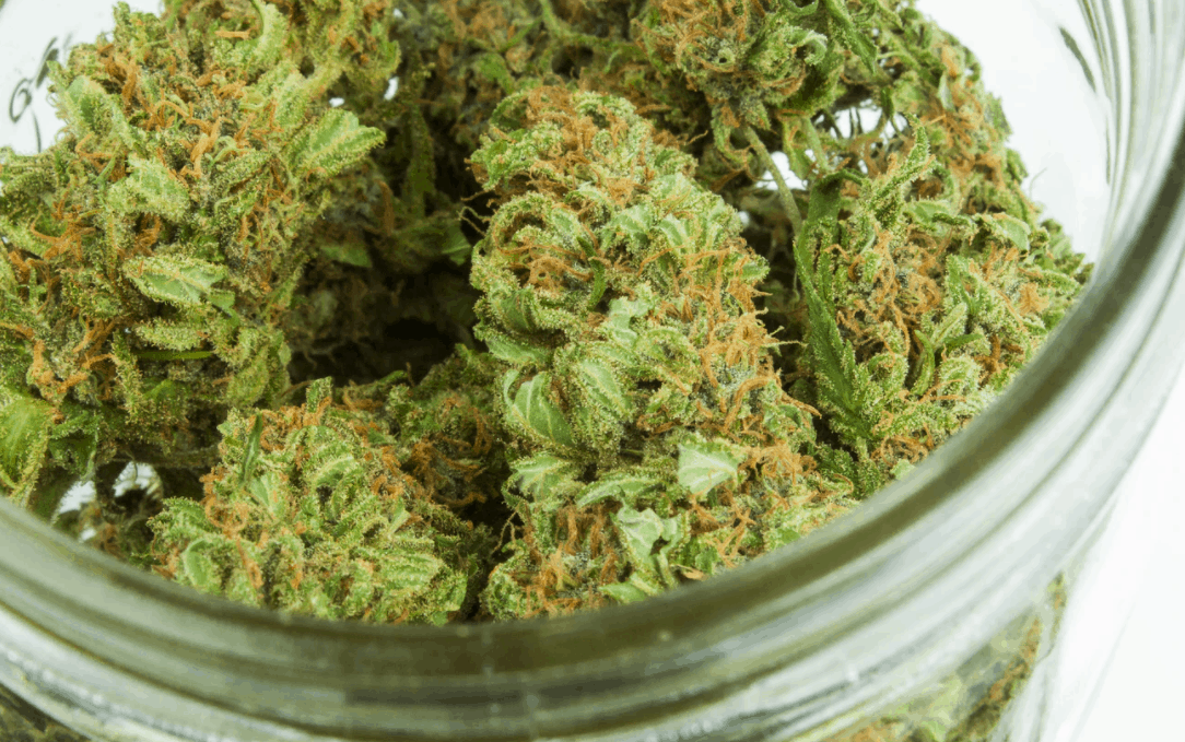 Michigan Cannabis Laws to Regulate Medical and Recreational Marijuana in Michigan