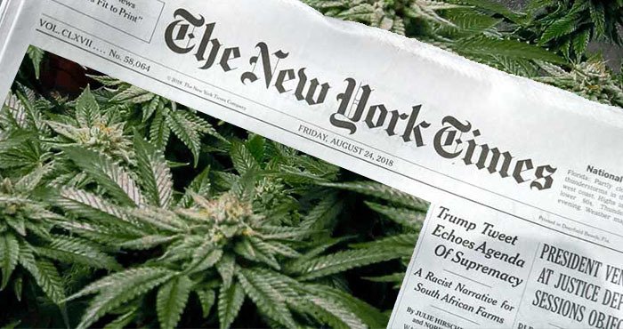 The New York Times has High Hopes for New York's Cannabis Industry