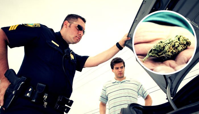 State Law Cannabis Law Enforcement