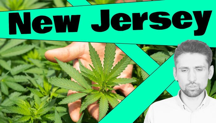 new jersey legalized cannabis opportunities