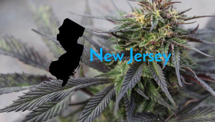 legalized cannabis plants in new jersey
