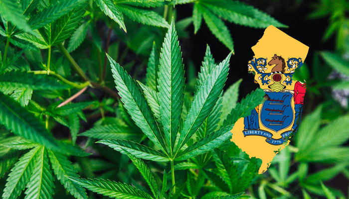 Is Marijuana Legal In New Jersey? Learn More About The Progress Now