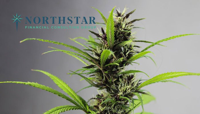 northstar financial consulting group cannabis fractional cfo services