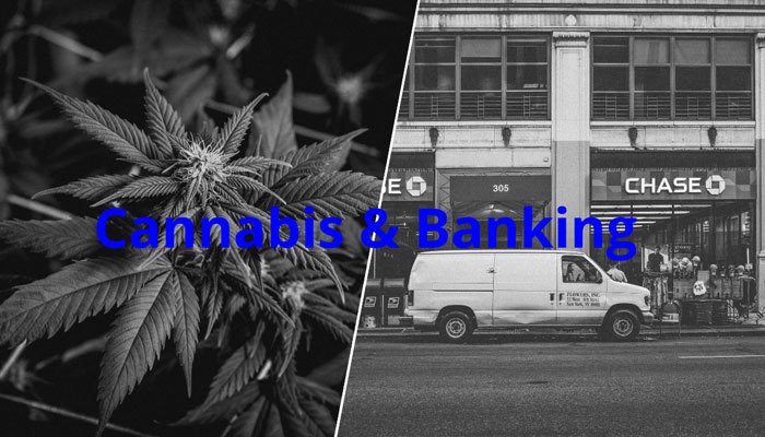 cannabis banking california insight
