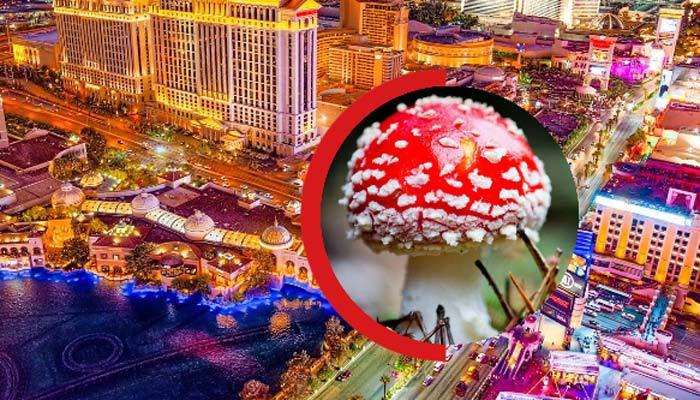 Are mushrooms legal in Vegas?