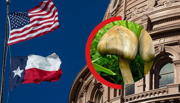 Are mushrooms illegal in Texas?