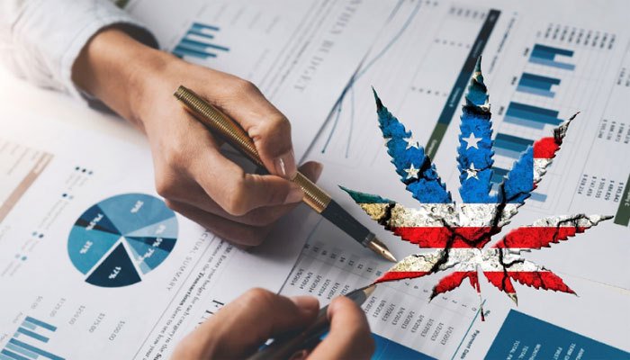 Businesses Need Knowledgable Cannabis CPAs
