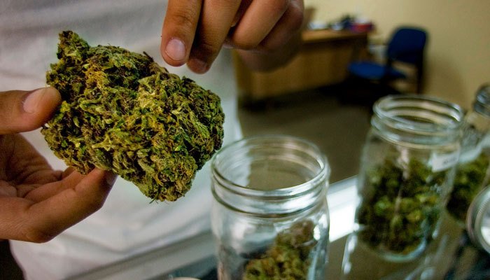 How Much Does a Dispensary Owner Make?