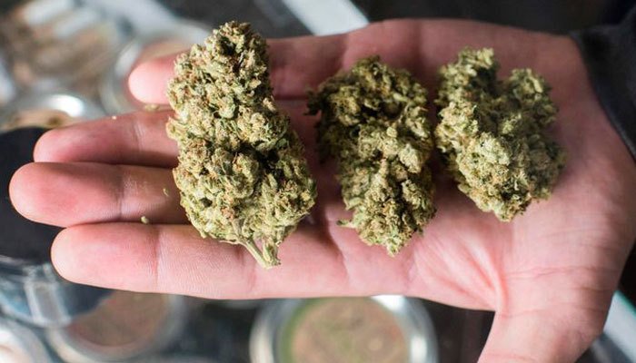 Michigan Recreational Marijuanas Law