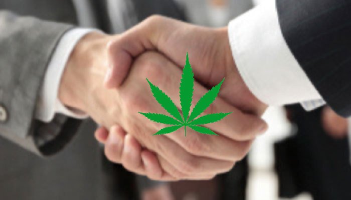 Tips to Maintain a Positive Relationship with Cannabis Angel Investors