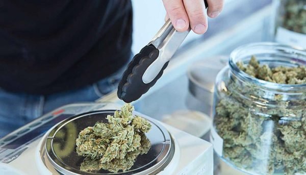 How to Get a Cannabis Retail License