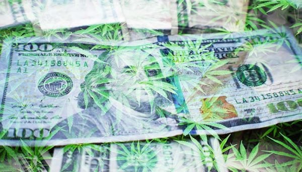 How Much Is Cannabis License?