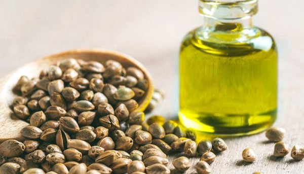 What Is Cannabis Sativa Seed Oil?